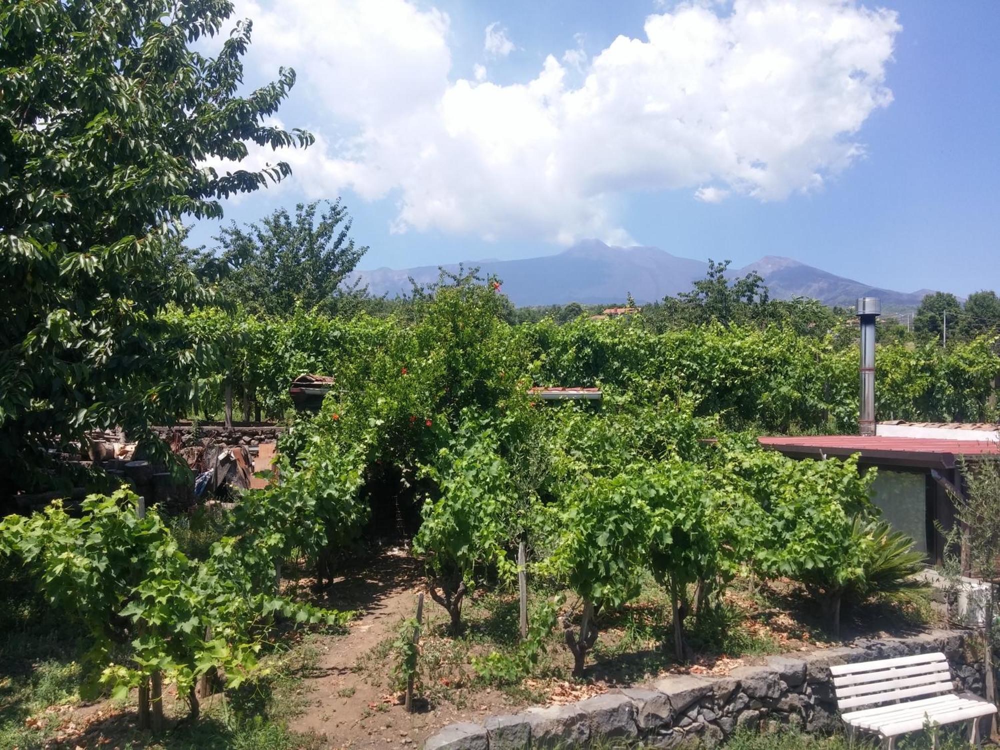 Sorbello Dell'Etna Villa Milo Dış mekan fotoğraf